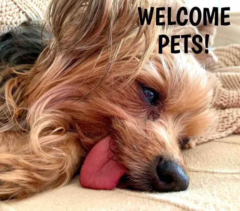 Nice Apartment In Barcelona By Perita Next Metro St T1 Ngoại thất bức ảnh